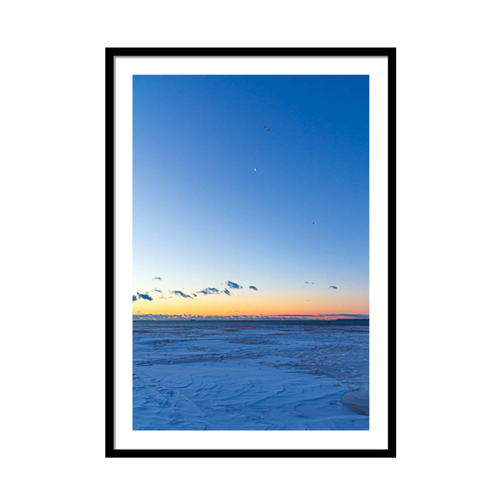 ZPG FAP-Seagulls Flying Over a Crescent Moon - 2