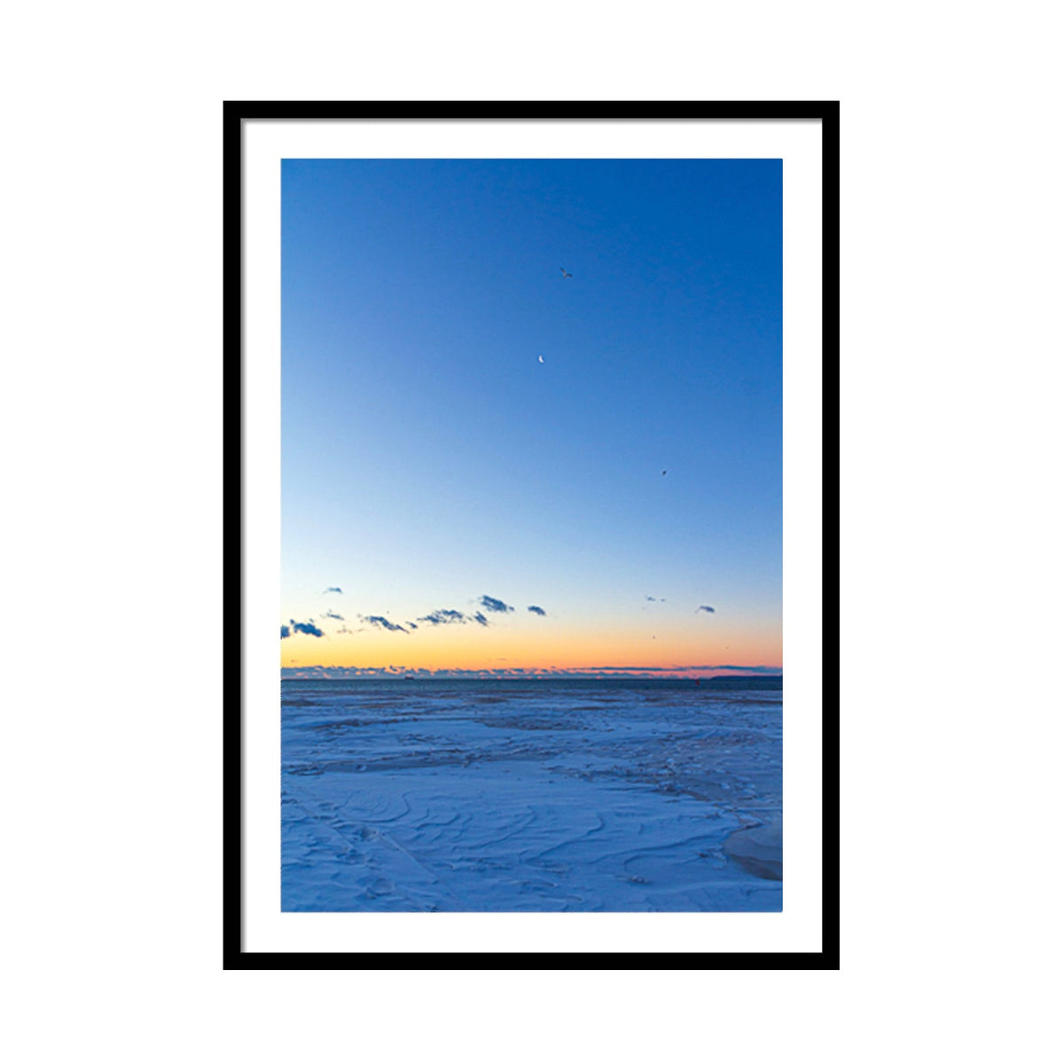 ZPG FAP-Seagulls Flying Over a Crescent Moon - 2